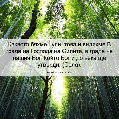 Picture 06 - Псалми 48:8 BULG - Каквото бяхме чули, това и - Bible Verse Picture