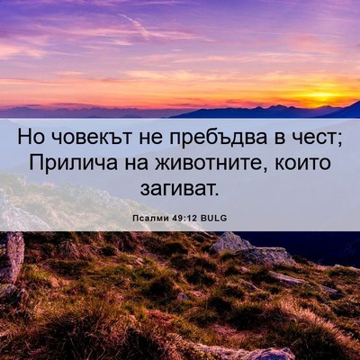 Picture 06 - Псалми 49:12 BULG - Но човекът не пребъдва в - Bible Verse Picture