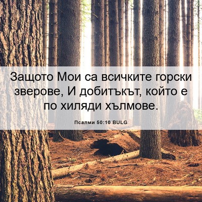 Picture 06 - Псалми 50:10 BULG - Защото Мои са всичките - Bible Verse Picture