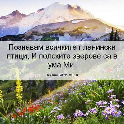 Picture 06 - Псалми 50:11 BULG - Познавам всичките - Bible Verse Picture