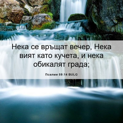 Picture 06 - Псалми 59:14 BULG - Нека се връщат вечер, Нека - Bible Verse Picture