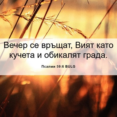 Picture 06 - Псалми 59:6 BULG - Вечер се връщат, Вият като - Bible Verse Picture