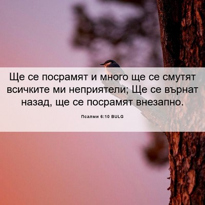 Picture 06 - Псалми 6:10 BULG - Ще се посрамят и много ще - Bible Verse Picture