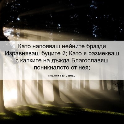 Picture 06 - Псалми 65:10 BULG - Като напояваш нейните - Bible Verse Picture