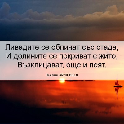 Picture 06 - Псалми 65:13 BULG - Ливадите се обличат със - Bible Verse Picture