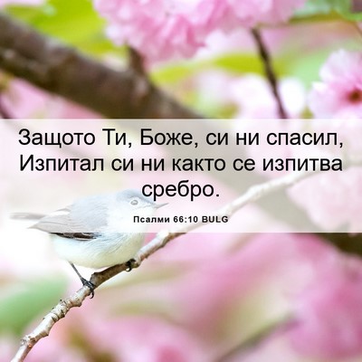 Picture 06 - Псалми 66:10 BULG - Защото Ти, Боже, си ни - Bible Verse Picture