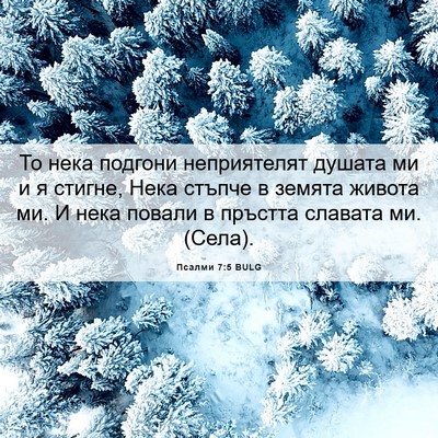 Picture 06 - Псалми 7:5 BULG - То нека подгони - Bible Verse Picture