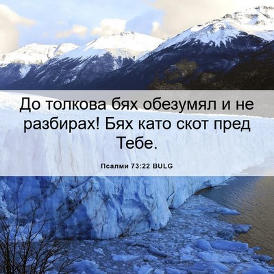 Picture 06 - Псалми 73:22 BULG - До толкова бях обезумял и - Bible Verse Picture