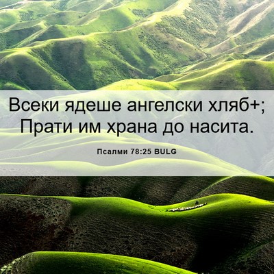 Picture 06 - Псалми 78:25 BULG - Всеки ядеше ангелски хляб+; - Bible Verse Picture