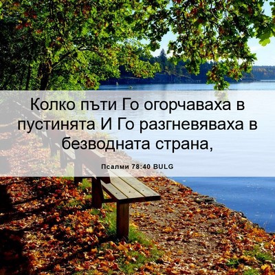 Picture 06 - Псалми 78:40 BULG - Колко пъти Го огорчаваха в - Bible Verse Picture