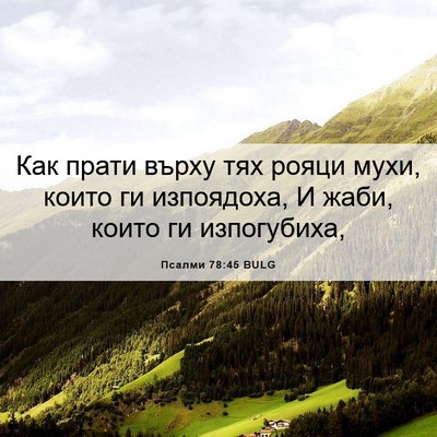 Picture 06 - Псалми 78:45 BULG - Как прати върху тях рояци - Bible Verse Picture