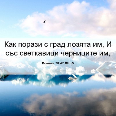 Picture 06 - Псалми 78:47 BULG - Как порази с град лозята - Bible Verse Picture