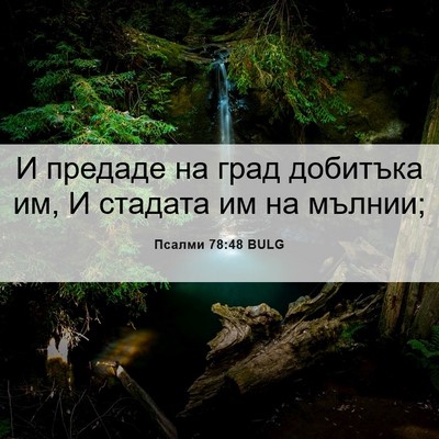 Picture 06 - Псалми 78:48 BULG - И предаде на град добитъка - Bible Verse Picture