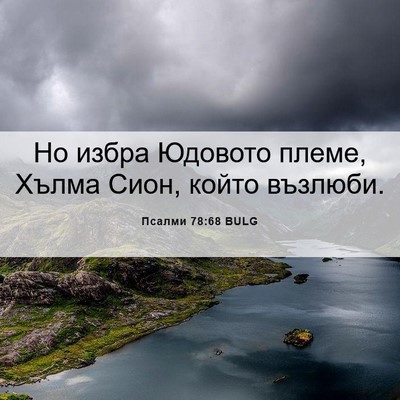 Picture 06 - Псалми 78:68 BULG - Но избра Юдовото племе, - Bible Verse Picture