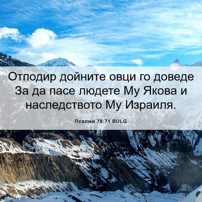 Picture 06 - Псалми 78:71 BULG - Отподир дойните овци го - Bible Verse Picture