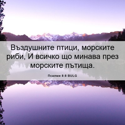 Picture 06 - Псалми 8:8 BULG - Въздушните птици, морските - Bible Verse Picture