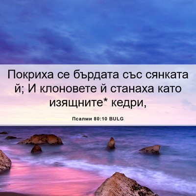 Picture 06 - Псалми 80:10 BULG - Покриха се бърдата със - Bible Verse Picture