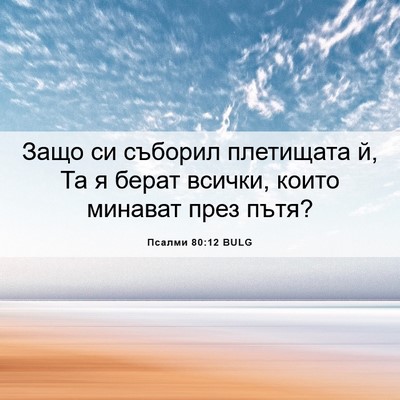 Picture 06 - Псалми 80:12 BULG - Защо си съборил плетищата - Bible Verse Picture