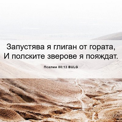 Picture 06 - Псалми 80:13 BULG - Запустява я глиган от - Bible Verse Picture