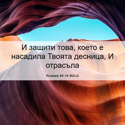 Picture 06 - Псалми 80:15 BULG - И защити това, което е - Bible Verse Picture
