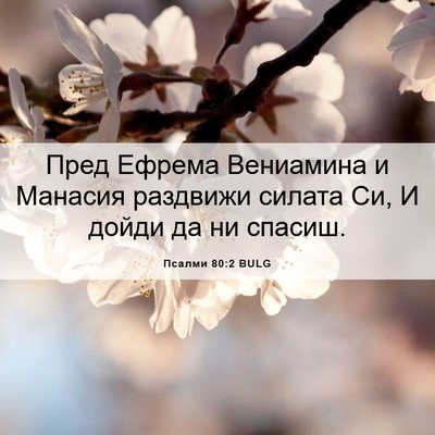 Picture 06 - Псалми 80:2 BULG - Пред Ефрема Вениамина и - Bible Verse Picture