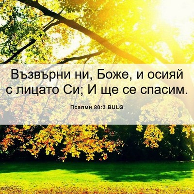 Picture 06 - Псалми 80:3 BULG - Възвърни ни, Боже, и осияй с - Bible Verse Picture