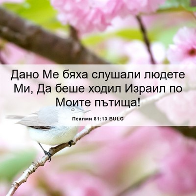 Picture 06 - Псалми 81:13 BULG - Дано Ме бяха слушали - Bible Verse Picture