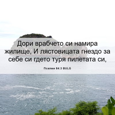 Picture 06 - Псалми 84:3 BULG - Дори врабчето си намира - Bible Verse Picture