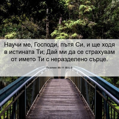 Picture 06 - Псалми 86:11 BULG - Научи ме, Господи, пътя Си, - Bible Verse Picture