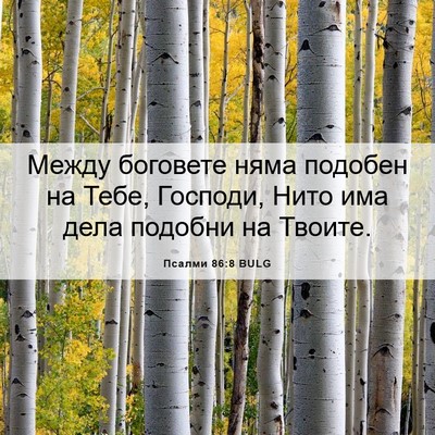 Picture 06 - Псалми 86:8 BULG - Между боговете няма - Bible Verse Picture