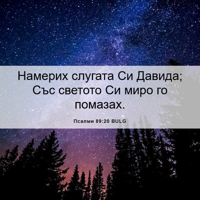 Picture 06 - Псалми 89:20 BULG - Намерих слугата Си Давида; - Bible Verse Picture