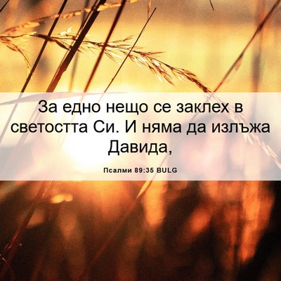 Picture 06 - Псалми 89:35 BULG - За едно нещо се заклех в - Bible Verse Picture