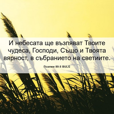 Picture 06 - Псалми 89:5 BULG - И небесата ще възпяват - Bible Verse Picture
