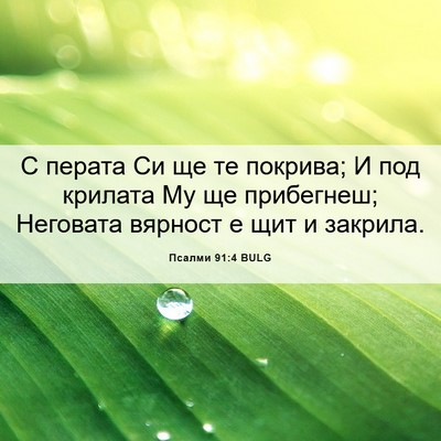 Picture 06 - Псалми 91:4 BULG - С перата Си ще те покрива; И - Bible Verse Picture