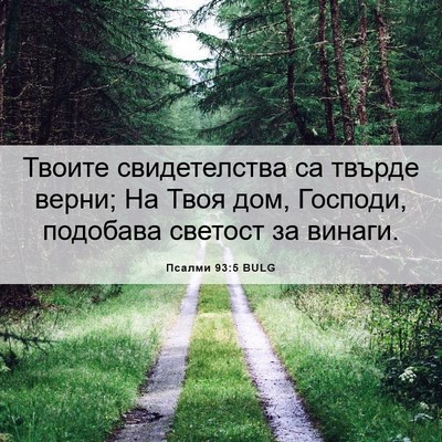 Picture 06 - Псалми 93:5 BULG - Твоите свидетелства са - Bible Verse Picture