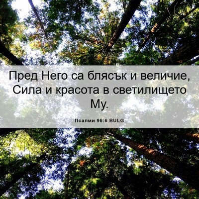 Picture 06 - Псалми 96:6 BULG - Пред Него са блясък и - Bible Verse Picture
