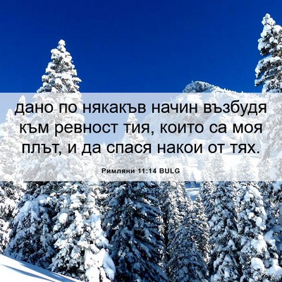 Picture 06 - Римляни 11:14 BULG - дано по някакъв начин - Bible Verse Picture