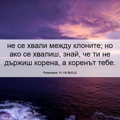 Picture 06 - Римляни 11:18 BULG - не се хвали между клоните; - Bible Verse Picture