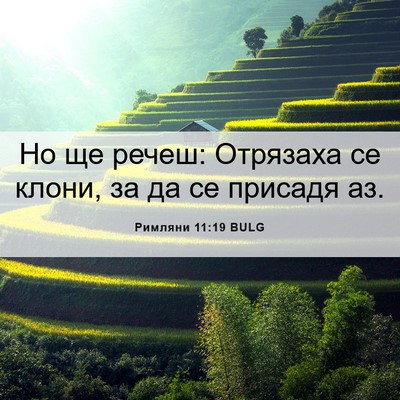 Picture 06 - Римляни 11:19 BULG - Но ще речеш: Отрязаха се - Bible Verse Picture