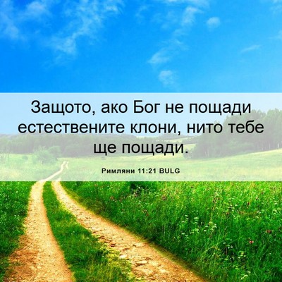 Picture 06 - Римляни 11:21 BULG - Защото, ако Бог не пощади - Bible Verse Picture