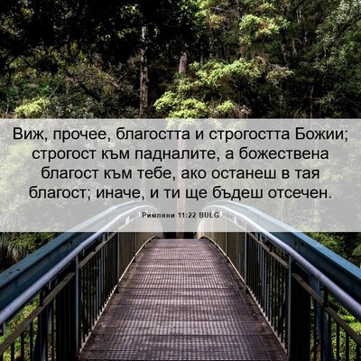 Picture 06 - Римляни 11:22 BULG - Виж, прочее, благостта и - Bible Verse Picture