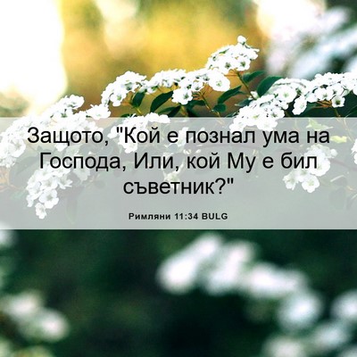 Picture 06 - Римляни 11:34 BULG - Защото, 