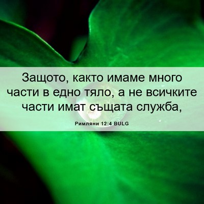 Picture 06 - Римляни 12:4 BULG - Защото, както имаме много - Bible Verse Picture