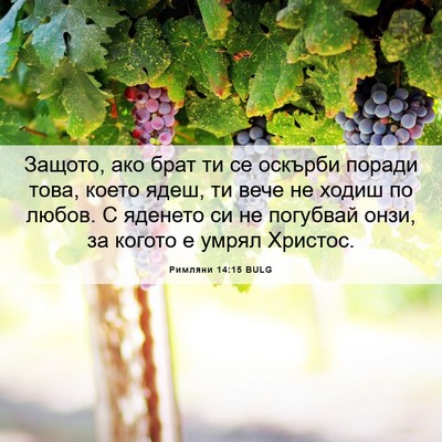 Picture 06 - Римляни 14:15 BULG - Защото, ако брат ти се - Bible Verse Picture