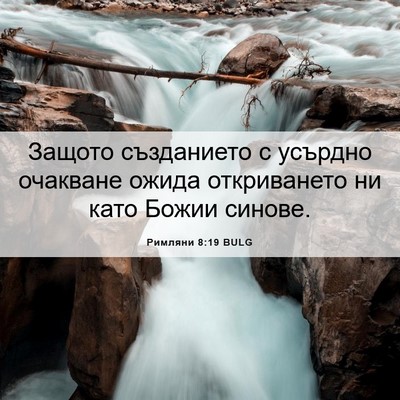 Picture 06 - Римляни 8:19 BULG - Защото създанието с - Bible Verse Picture