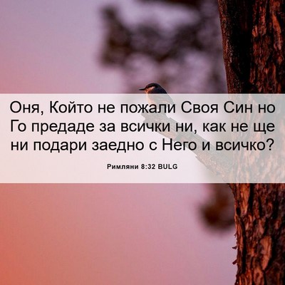 Picture 06 - Римляни 8:32 BULG - Оня, Който не пожали Своя - Bible Verse Picture