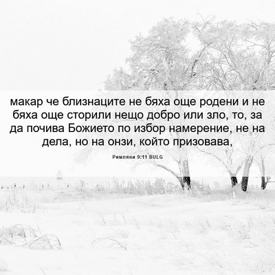 Picture 06 - Римляни 9:11 BULG - макар че близнаците не - Bible Verse Picture