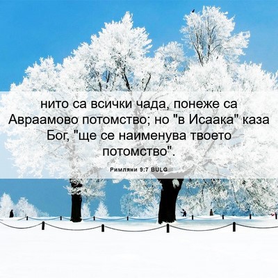 Picture 06 - Римляни 9:7 BULG - нито са всички чада, понеже - Bible Verse Picture