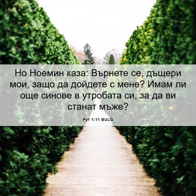 Picture 06 - Рут 1:11 BULG - Но Ноемин каза: Върнете се, - Bible Verse Picture