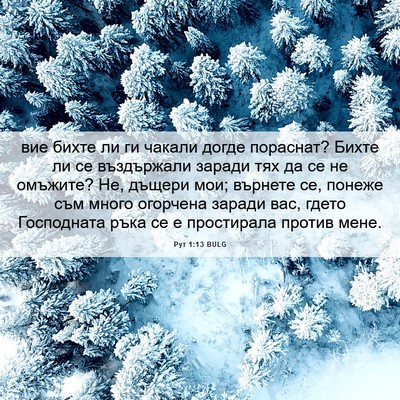 Picture 06 - Рут 1:13 BULG - вие бихте ли ги чакали - Bible Verse Picture
